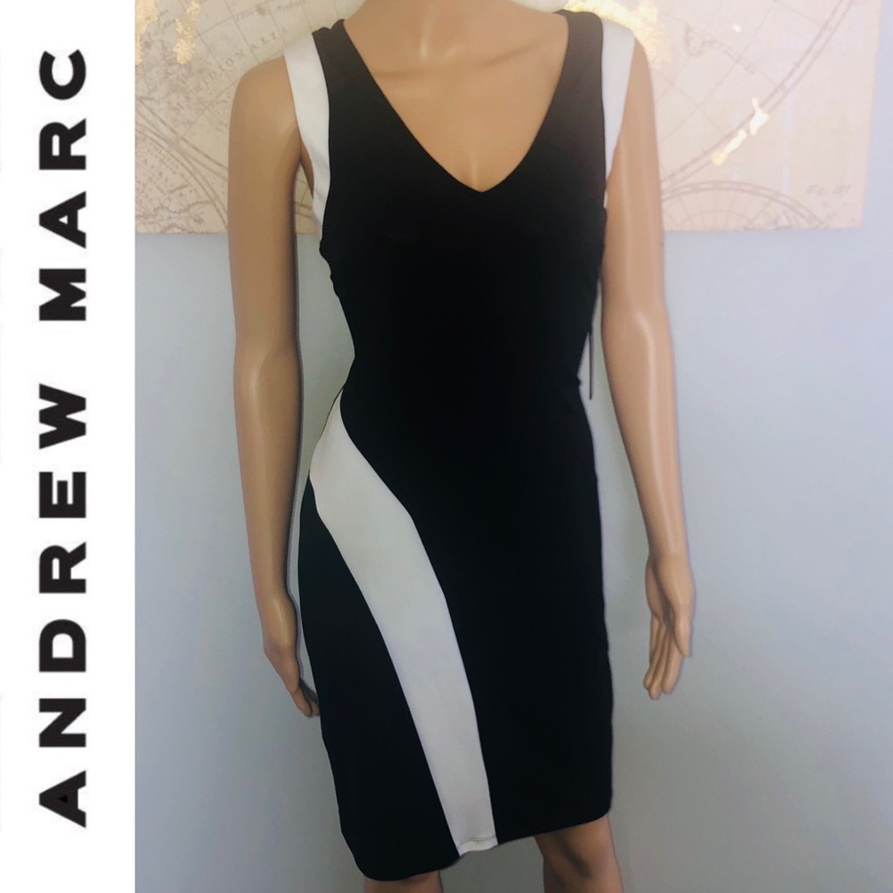 Andrew Marc Color Block Dress